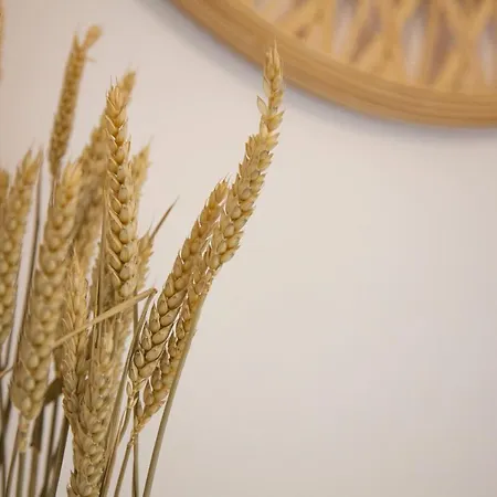 The Square 1st Floor Apartmán Argostoli (Kefalonia)